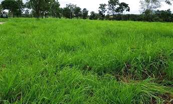 Imagem: 282 alqs dupla aptidão córrego montada