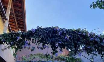 Imagem 4: BELO HORIZONTE - Galpão/Depósito/Armazém - Cachoeirinha