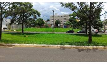 Imagem 2: Aluguel Terreno SANTA MONICA