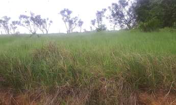 Imagem 1: Lote no Horto km5 Macaé