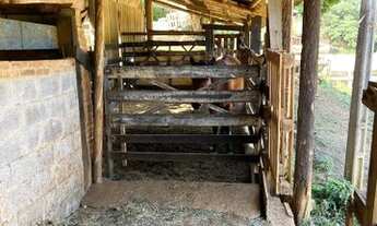 Imagem 8: Sítio na cidade de Itatiba 500 metros da rodovia D.Pedro I