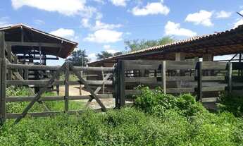 Imagem 6: Fazenda com 290 hectares entre Macaíba e são Pedro do Potengi