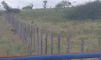 Imagem 2: Chácara com 17 tarefas toda no capim