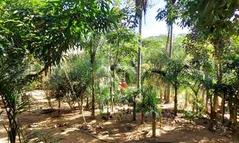 Imagem 4: Chácara próximo a Vianopolis