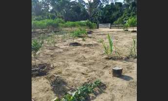 Imagem 5: Chacara 2 alqueire a venda