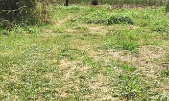 Imagem 2: TERRENOS PLANOS A VENDA