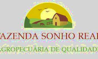 Imagem 2: Fazenda a venda em Juruti Pa com 500 hectares, documentada, pará