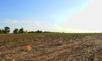 Imagem 6: Terreno na Rodovia dos Bandeirantes sentido Capital
