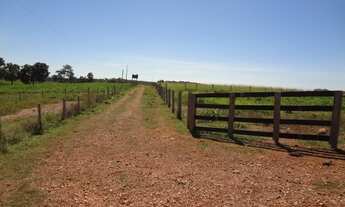Imagem: Sitio 55,00 hectares Região Várzea Grande