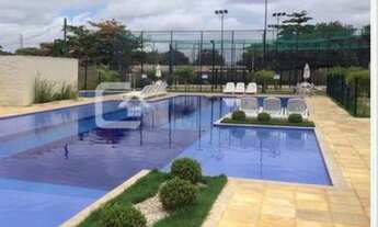 Imagem 2: Aluga-se Brisas do Madeira