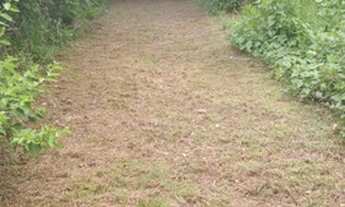 Imagem 3: Terreno em itapecuru