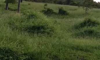 Imagem 4: Chácara Chácara com venda por R$150.000