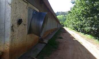 Imagem 6: Fazenda em Itapira, interior de São Paulo