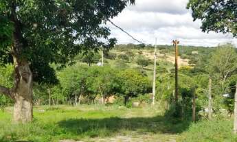 Imagem 5: Oportunidade Sitio - Inhames