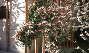 Imagem 6: Fazenda/Sítio/Chácara para venda possui 34 metros quadrados com 2 quartos