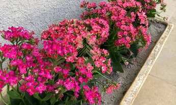 Imagem 8: Espetacular Casa 5Suítes em Vila Esperia Ou Giglio - Atibaia