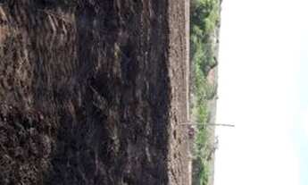 Imagem 2: Fazendinha Chácara com venda por R$280.000