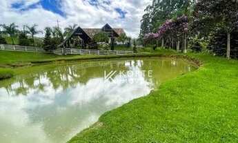 Imagem 3: Chácara com 3 dormitórios à venda, 3000 m² por R$ 390.000 - Serra Tomio - Laurentino/Santa