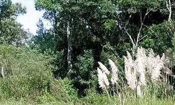 Imagem 3: Terreno de repasse fazenda rio grande