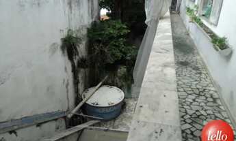 Imagem 7: São Paulo - Casa Padrão - Perdizes