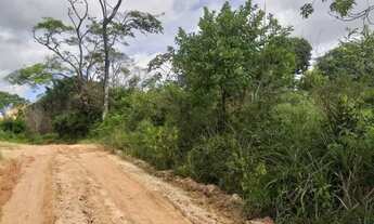 Imagem 2: NOSSA SENHORA DO SOCORRO - Terreno Padrão - BR 235 KM4