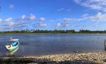 Imagem 3: Vendo terreno localizado no povoado Penedinho, às margens do rio São Francisco