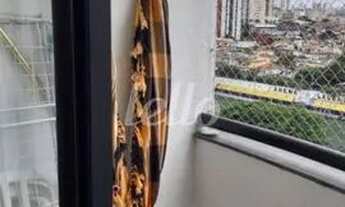 Imagem 6: São Paulo - Apartamento Padrão - Mandaqui