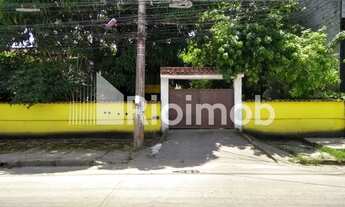 Imagem: Jardim Primavera