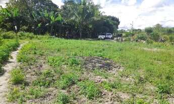 Imagem 6: Vendo ou toco por carro