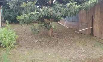 Imagem 6: Casa em catanduva