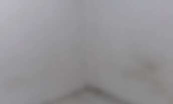 Imagem 2: Aluguel Apartamento com 2 dormitórios