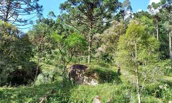 Imagem: ANITÁPOLIS/SC - RANCHO QUEIMADO - Terreno