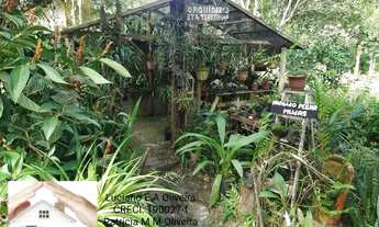 Imagem 6: Sítio 7 Quartos Caraguatatuba - SP - Barranco Alto