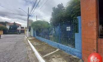 Imagem 2: São Paulo - Terreno Padrão - Casa Verde