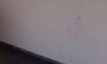 Imagem 2: Aluguel de casa Casa com 2 dormitórios