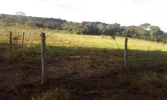 Imagem 6: Chácara Hidrolândia 3.000 M², Ótimo Local Para Morar, Plantar Produzir, com água encanada!