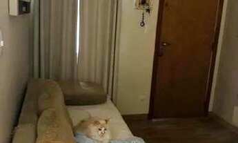 Imagem 5: Apartamento com 2 dorms, Jordanópolis, São Bernardo do Campo - R$ 245 mil, Cod: 3696