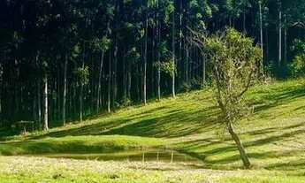 Imagem 7: Viva em contato com a natureza: Terrenos de chácara em localização privilegiada!