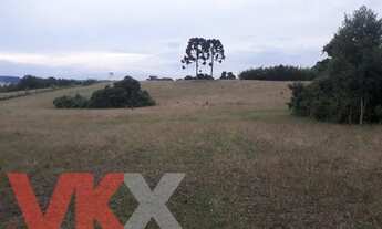 Imagem 4: Área Rural para Venda em Campo do Tenente, Campo do tenente