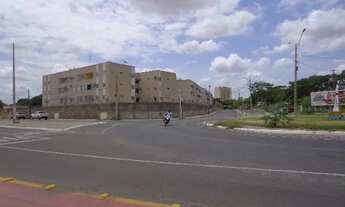 Imagem 2: Alugo no Alo Teresina apartamento 03 quartos