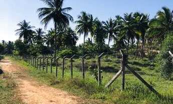 Imagem 6: Terreno no Povoado Areia Branca - zona de expansão