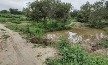 Imagem: Fazendinhas de 2hectares com terra boa para