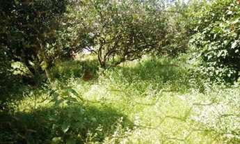 Imagem 6: Venda | Residential / Land Lot | Serra Verde