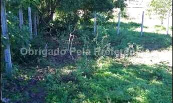 Imagem 3: Lote em Areia Branca Aracaju