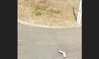 Imagem 5: Excelente lote no Brisa do Vale