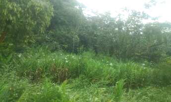 Imagem 3: Terreno ubatumirin Vila Rolim