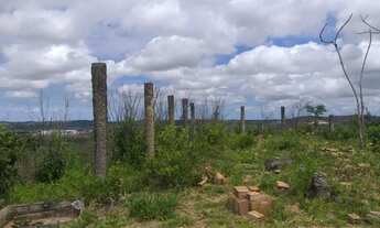 Imagem 4: NOSSA SENHORA DO SOCORRO - Terreno Padrão - BR 235 KM4