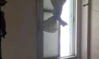 Imagem 5: Vendo apartamento no Ed Paulo VI