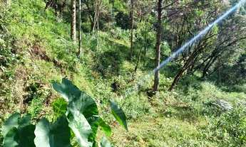 Imagem 7: ANITÁPOLIS/SC - RANCHO QUEIMADO - Terreno a venda 11hectares
