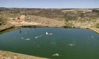 Imagem 4: Vendo ou troco sítio paraíso com 61000 metros no Incra 7